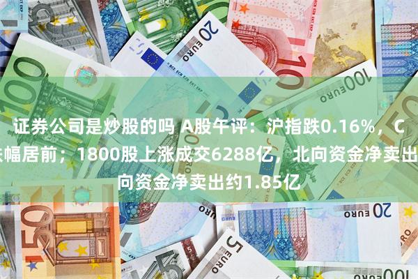 证券公司是炒股的吗 A股午评：沪指跌0.16%，CRO板块跌幅居前；1800股上涨成交6288亿，北向资金净卖出约1.85亿