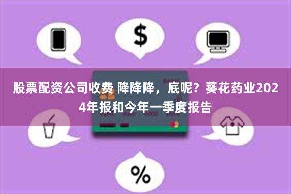 股票配资公司收费 降降降，底呢？葵花药业2024年报和今年一季度报告