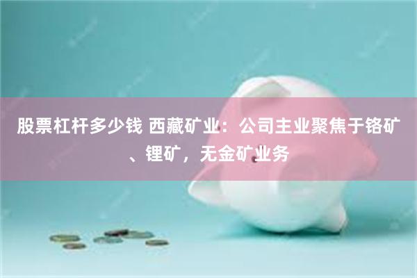 股票杠杆多少钱 西藏矿业：公司主业聚焦于铬矿、锂矿，无金矿业务